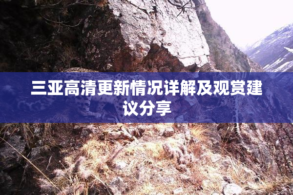 三亚高清更新情况详解及观赏建议分享