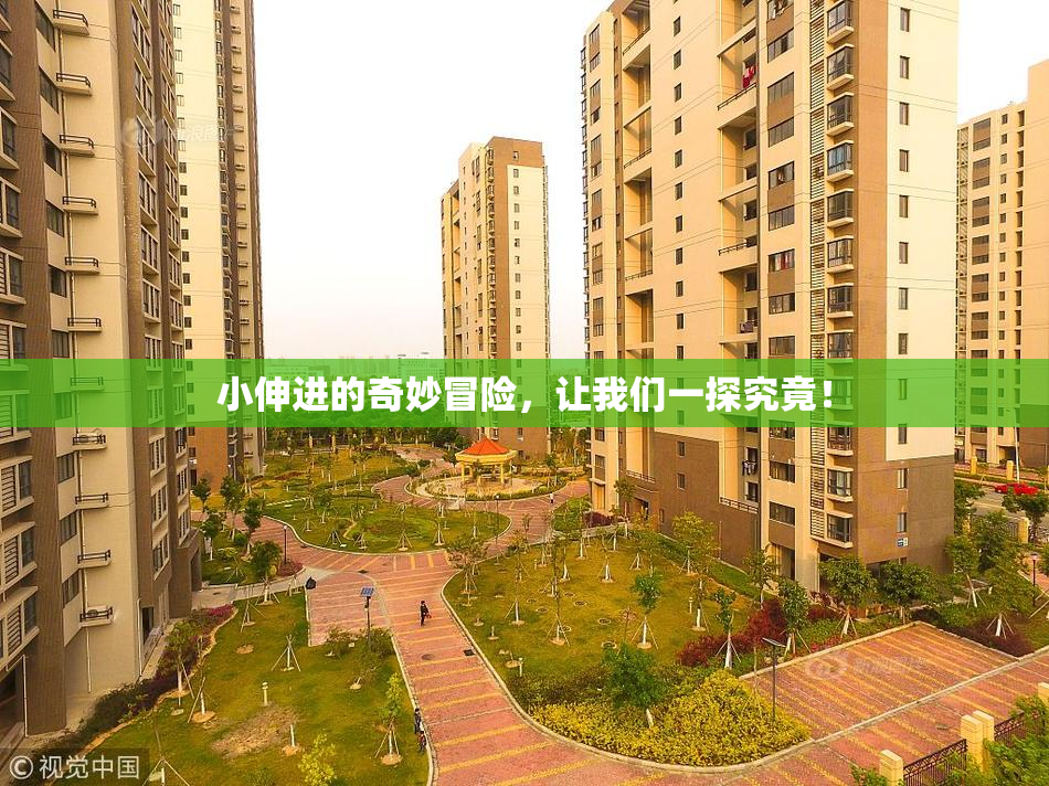 小伸进的奇妙冒险，让我们一探究竟！