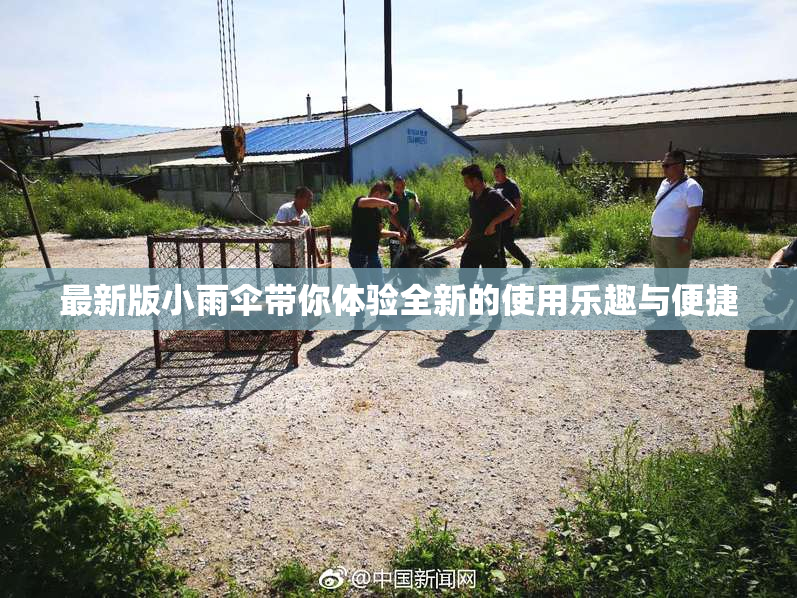 最新版小雨伞带你体验全新的使用乐趣与便捷