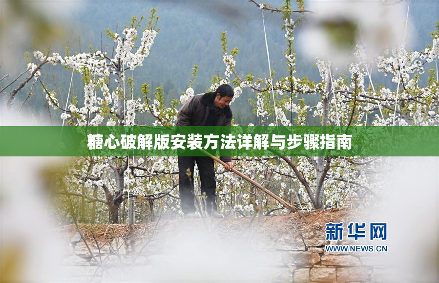 糖心破解版安装方法详解与步骤指南