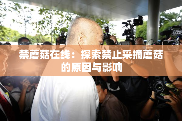 禁蘑菇在线：探索禁止采摘蘑菇的原因与影响