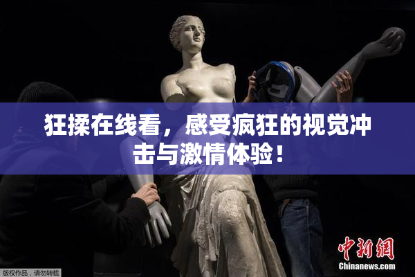 狂揉在线看，感受疯狂的视觉冲击与激情体验！