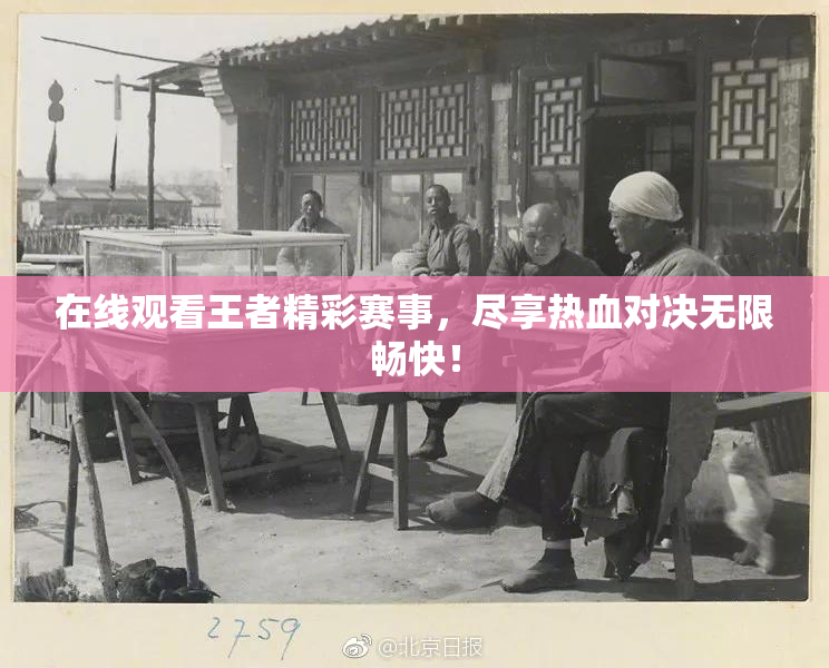 在线观看王者精彩赛事，尽享热血对决无限畅快！