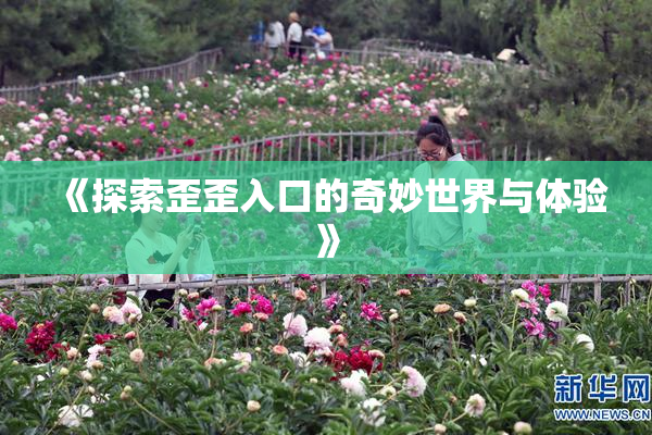 《探索歪歪入口的奇妙世界与体验》
