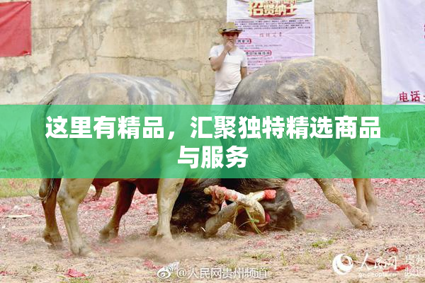 这里有精品，汇聚独特精选商品与服务