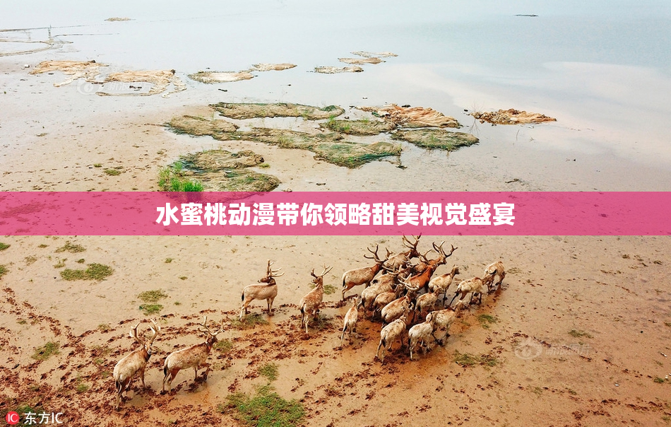水蜜桃动漫带你领略甜美视觉盛宴