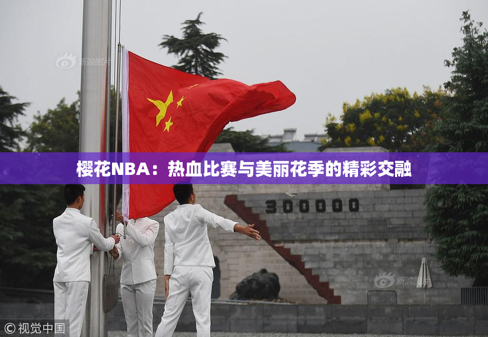 樱花NBA：热血比赛与美丽花季的精彩交融
