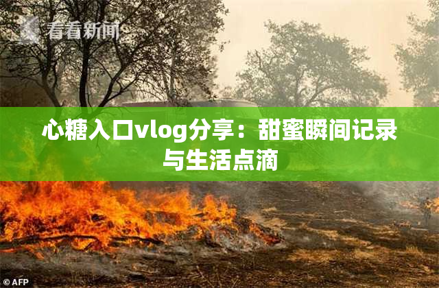 心糖入口vlog分享：甜蜜瞬间记录与生活点滴