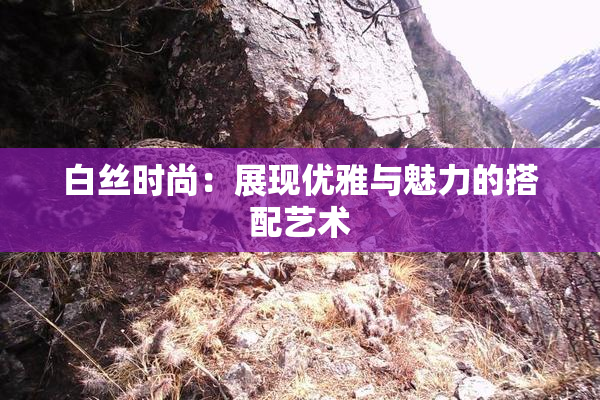 白丝时尚：展现优雅与魅力的搭配艺术