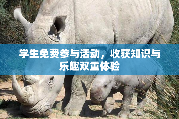 学生免费参与活动，收获知识与乐趣双重体验
