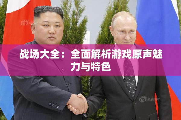 战场大全：全面解析游戏原声魅力与特色