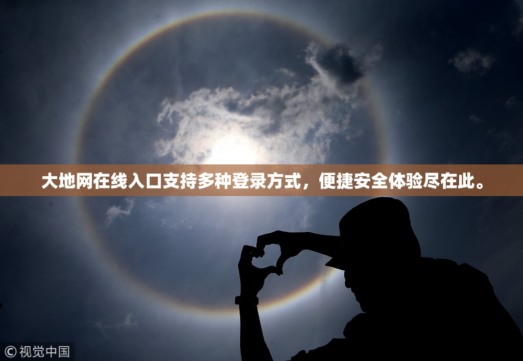 大地网在线入口支持多种登录方式，便捷安全体验尽在此。