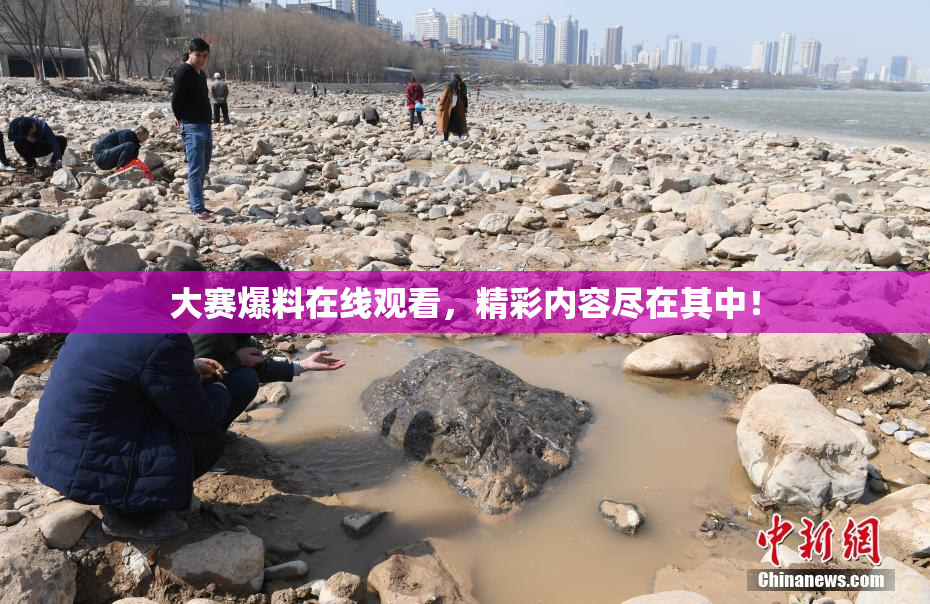 大赛爆料在线观看，精彩内容尽在其中！