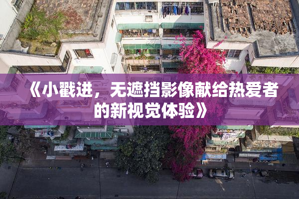 《小戳进，无遮挡影像献给热爱者的新视觉体验》