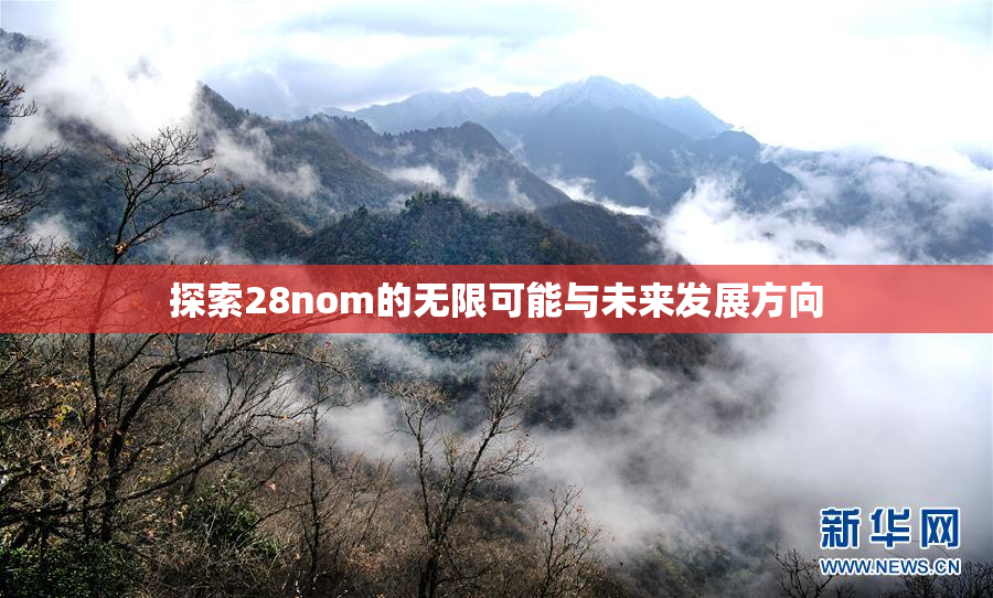 探索28nom的无限可能与未来发展方向