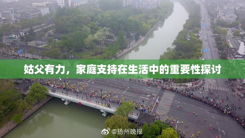 姑父有力，家庭支持在生活中的重要性探讨