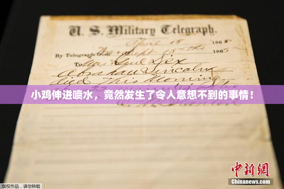 小鸡伸进喷水，竟然发生了令人意想不到的事情！