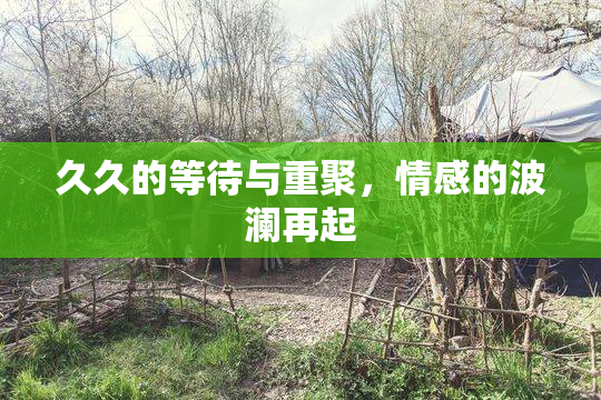 久久的等待与重聚，情感的波澜再起