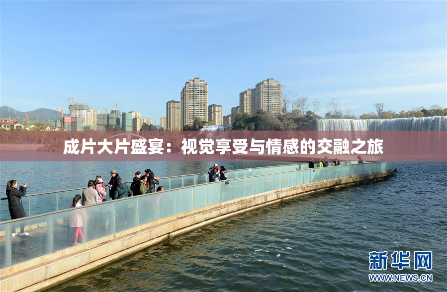 成片大片盛宴：视觉享受与情感的交融之旅