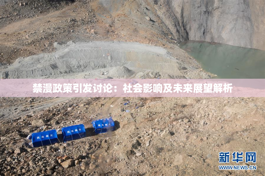 禁漫政策引发讨论：社会影响及未来展望解析