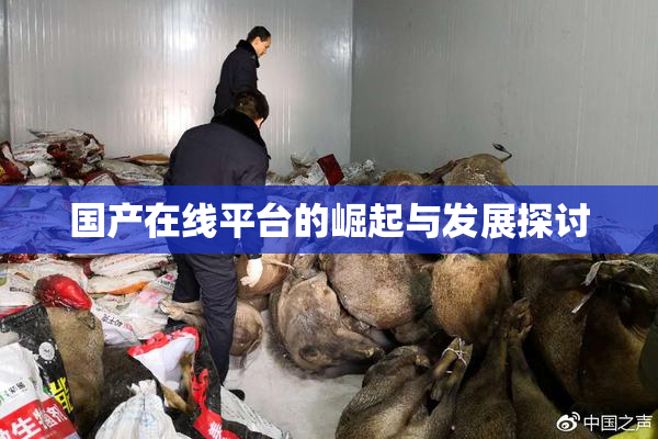 国产在线平台的崛起与发展探讨