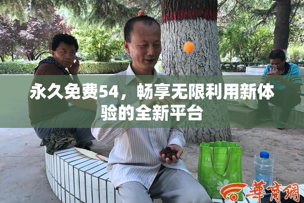 永久免费54，畅享无限利用新体验的全新平台