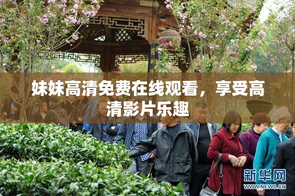 妹妹高清免费在线观看，享受高清影片乐趣