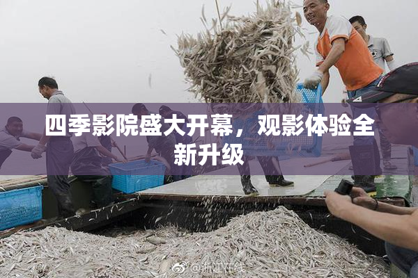四季影院盛大开幕，观影体验全新升级