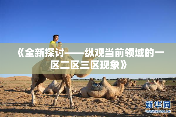 《全新探讨——纵观当前领域的一区二区三区现象》