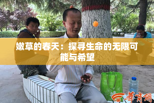 嫩草的春天：探寻生命的无限可能与希望