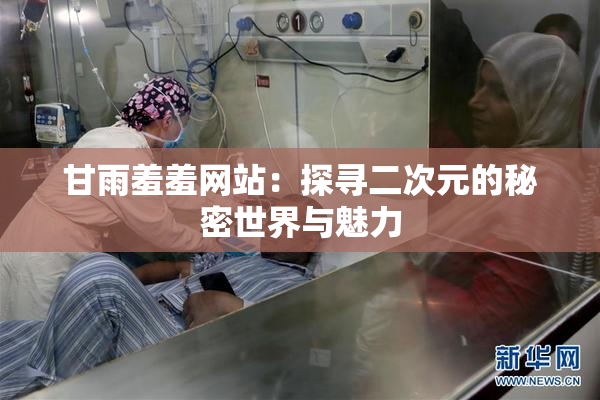 甘雨羞羞网站：探寻二次元的秘密世界与魅力
