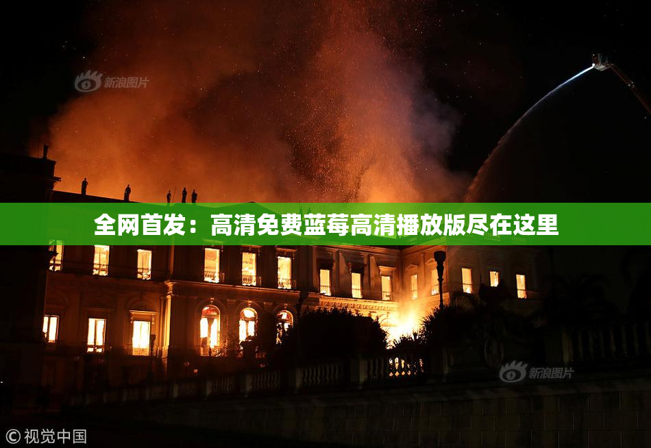全网首发：高清免费蓝莓高清播放版尽在这里