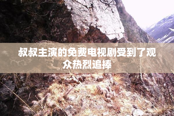 叔叔主演的免费电视剧受到了观众热烈追捧