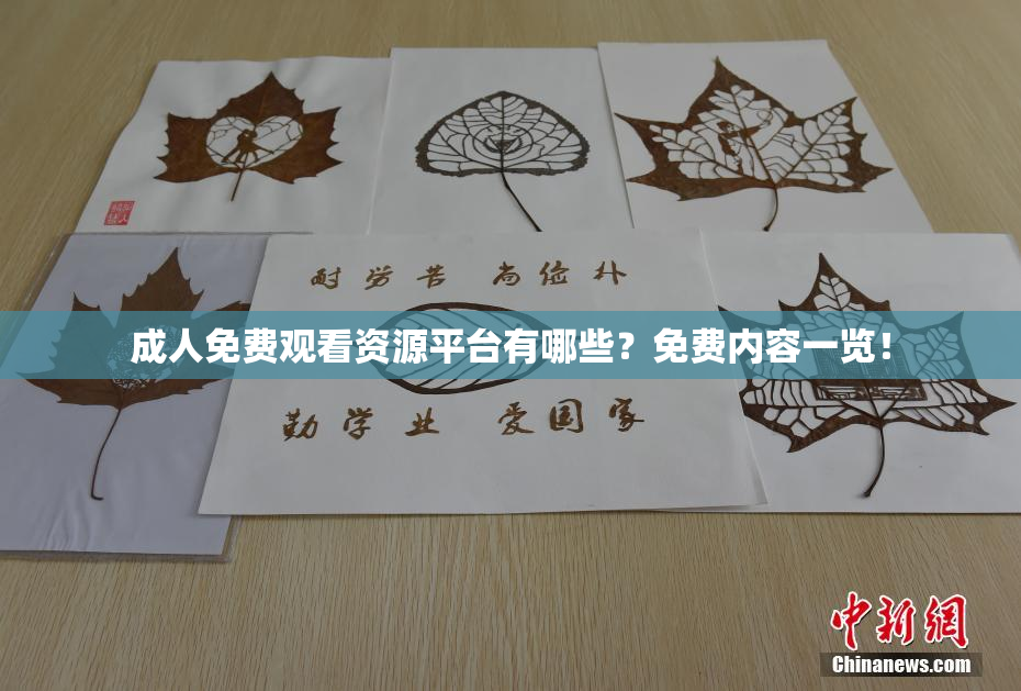 成人免费观看资源平台有哪些？免费内容一览！