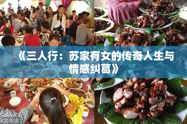 《三人行：苏家有女的传奇人生与情感纠葛》