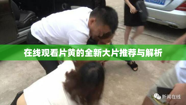 在线观看片黄的全新大片推荐与解析