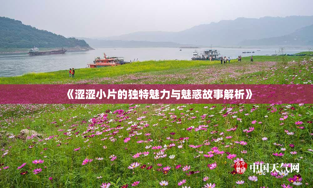 《涩涩小片的独特魅力与魅惑故事解析》