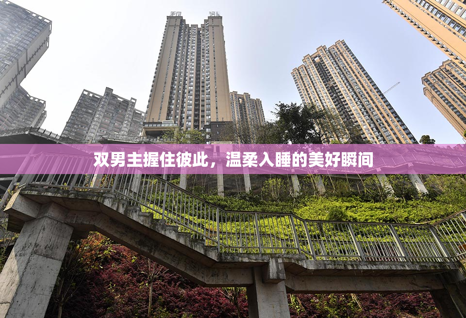 双男主握住彼此，温柔入睡的美好瞬间