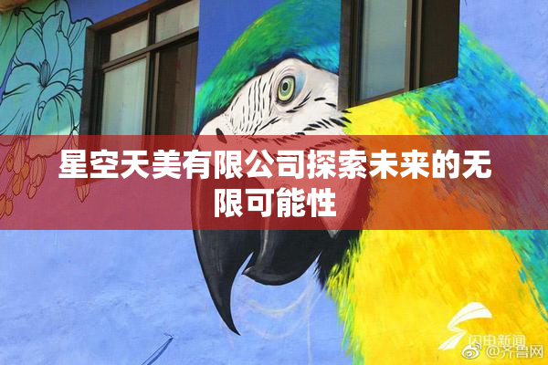 星空天美有限公司探索未来的无限可能性