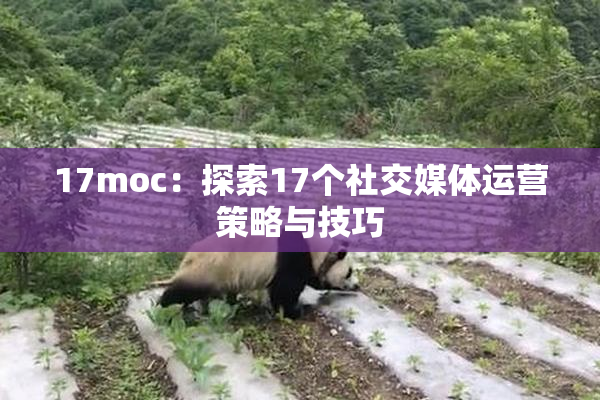 17moc：探索17个社交媒体运营策略与技巧