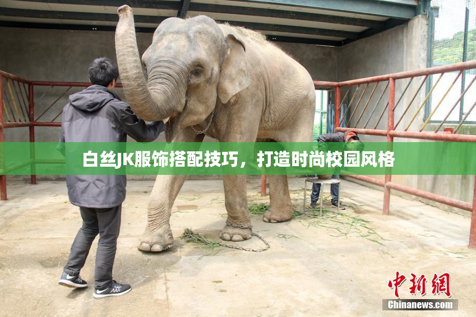白丝JK服饰搭配技巧，打造时尚校园风格