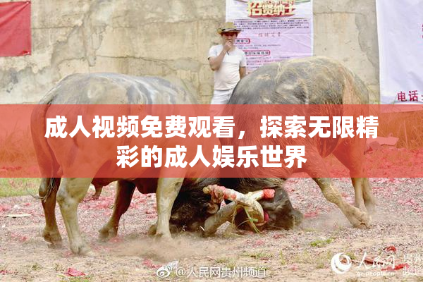 成人视频免费观看，探索无限精彩的成人娱乐世界