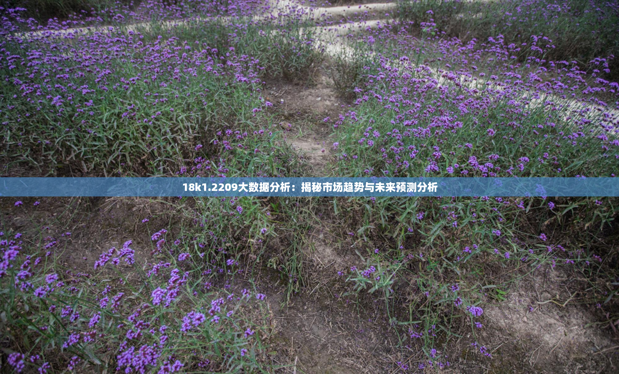 18k1.2209大数据分析：揭秘市场趋势与未来预测分析