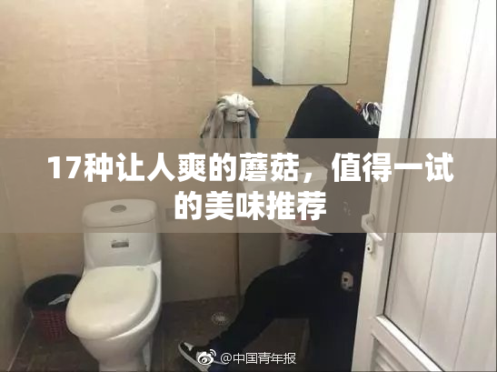 17种让人爽的蘑菇，值得一试的美味推荐