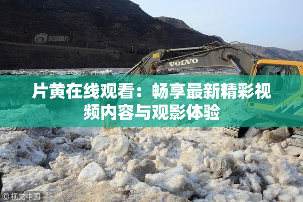 片黄在线观看：畅享最新精彩视频内容与观影体验
