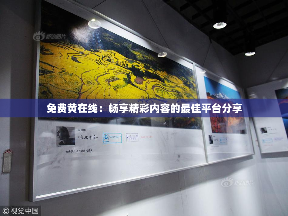 免费黄在线：畅享精彩内容的最佳平台分享