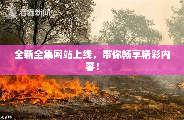 全新全集网站上线，带你畅享精彩内容！