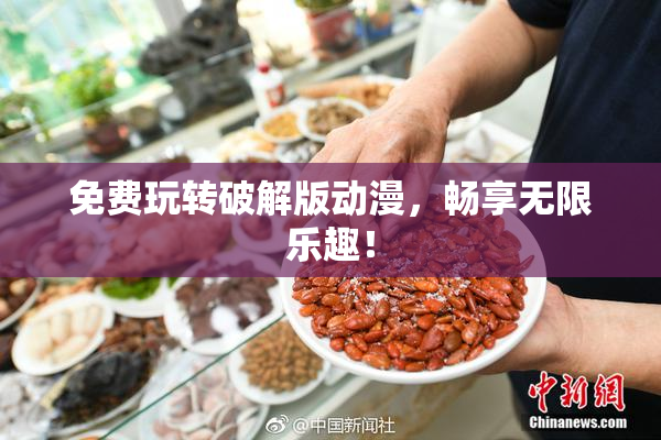 免费玩转破解版动漫，畅享无限乐趣！