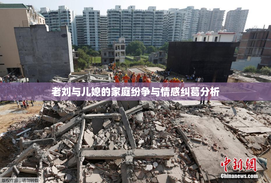 老刘与儿媳的家庭纷争与情感纠葛分析