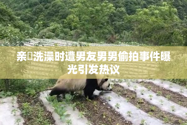 亲妺洗澡时遭男友男男偷拍事件曝光引发热议